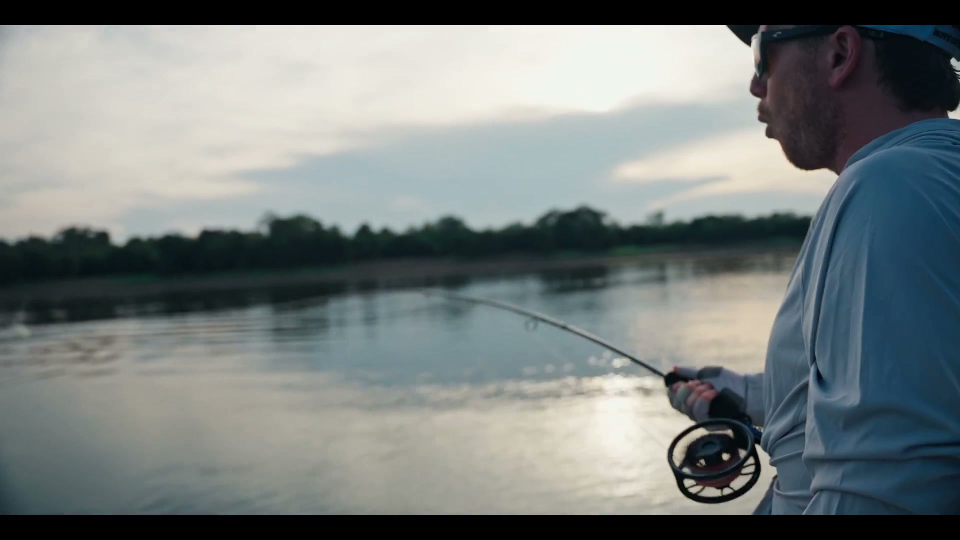 Arapaima — Short