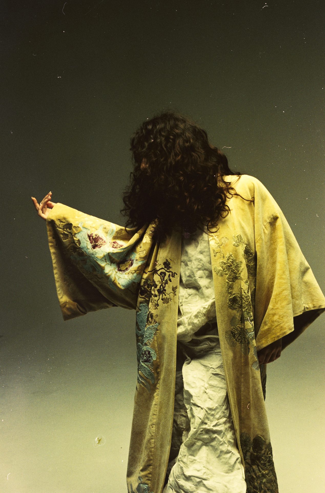 Guillermina Lynch — foto 7